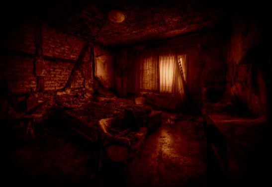 a-bed-of-moss-in-a-room-of-an-hotel-ravaged-by-fire-photo-by-niki-feijen-46360